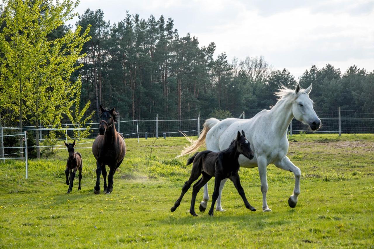 Modern Rancho - Apartamenty Nad Rzeka, Przy Stadninie Koni Kruszyna  Exterior foto